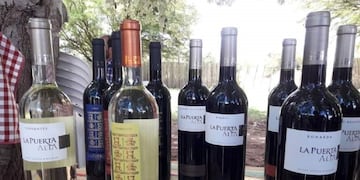 El vino elaborado en el Valle de Famatina, es el que sirven las azafatas de British Airways en los servicios de vuelo