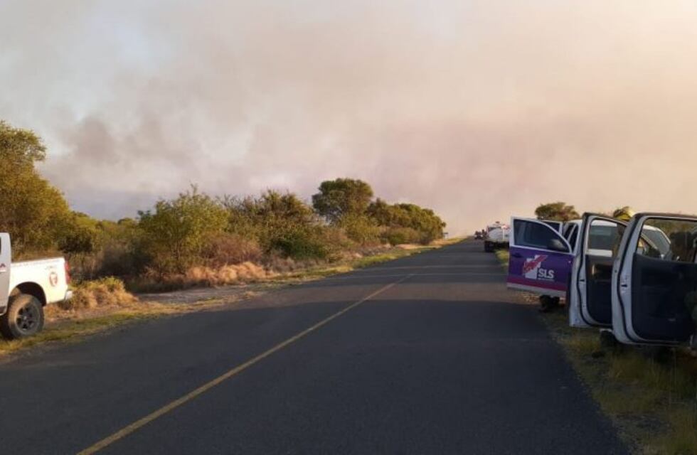 Lograron controlar el incendio forestal en Juan W. Gez