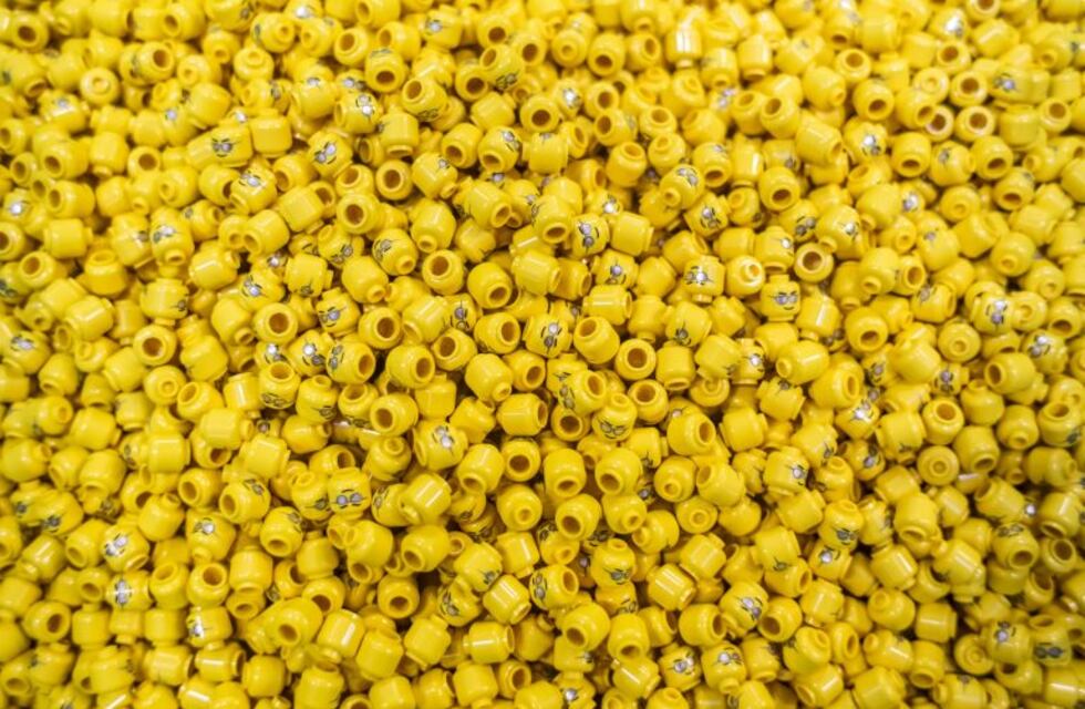 Los estudios científicos más delirantes de 2018