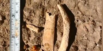 Huesos hallados en la ruta 47\u002E (Web)