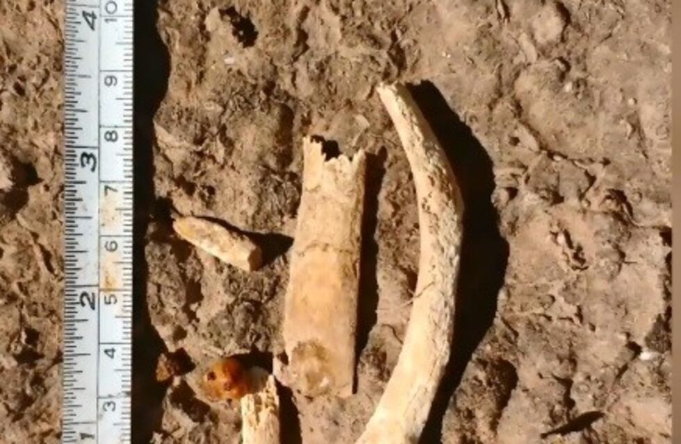 Una pareja de viajeros encontró restos arqueológicos en Salta