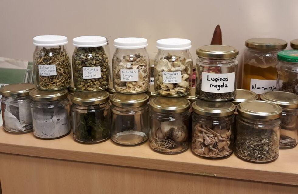 Producción desde la tierra austral