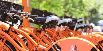 El sistema permaneció interrumpido este lunes y en el Concejo piden explicaciones\u002E (Archivo)