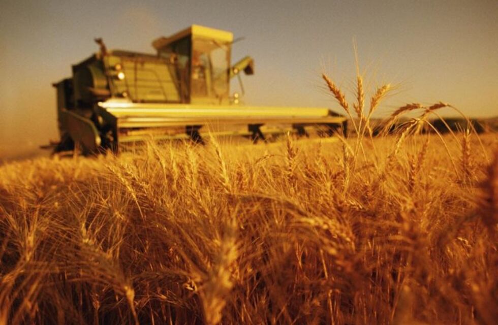 Llega la Red de Potenciación Nesters - CREA