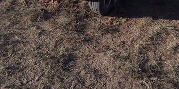 Un grupo de turistas volcó en la ruta 14\u002E