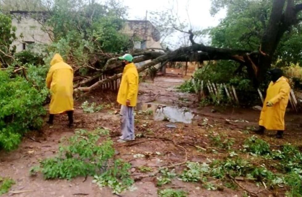El temporal voló techos y derribó árboles en La Esperanza y Fraile Pintado