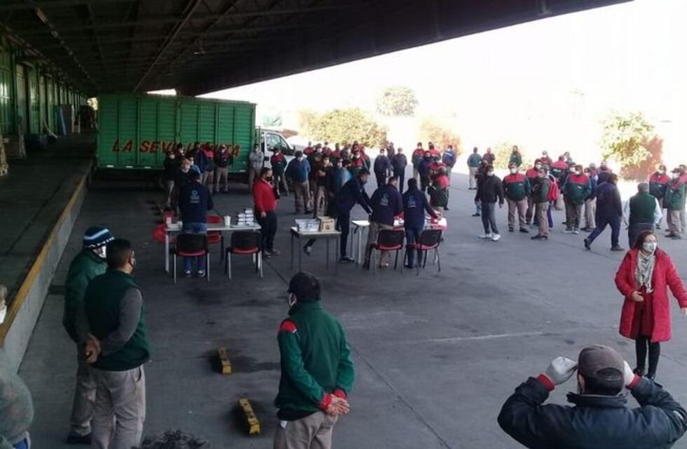 18 trabajadores de una empresa de transporte dieron negativo en los hisopados