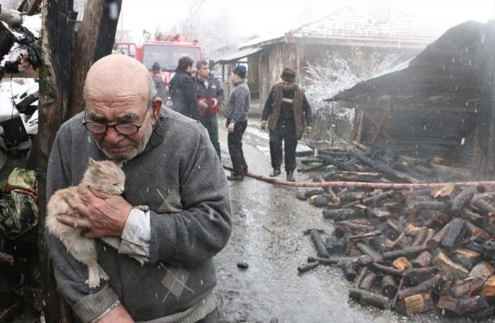 Salvó a su gata entre las cenizas de un incendio y la foto dio la vuelta al mundo