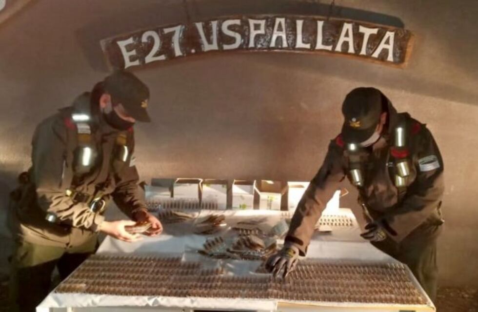 Gendarmería atrapó a un camionero con 800 ampollas de efedrina