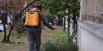 Desinfecciones en Jujuy por Hantavirus y desratización