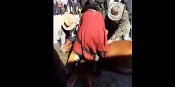 Muere un caballo durante un desfile