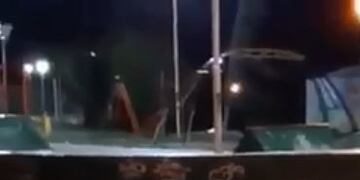 Un lobo paseó por la costanera y luego retornó al mar