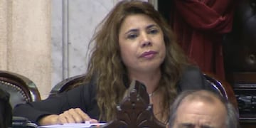 Diputada nacional Alejandra Martínez (UCR)