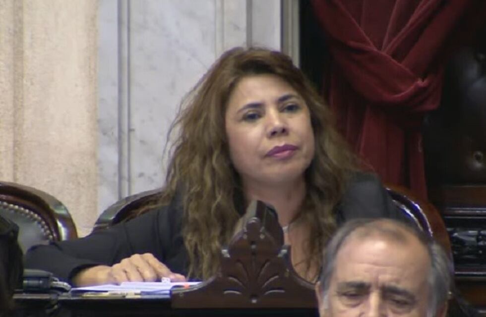 "¿Por qué no se preguntan a qué fue Alberto Fernández a México?"