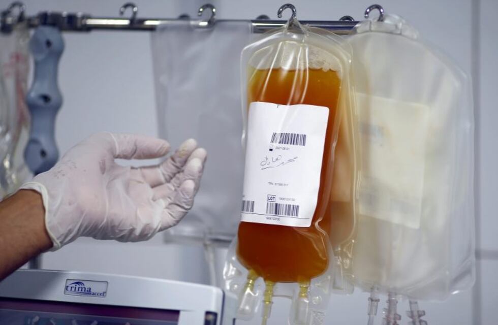 Coronavirus: por qué no se aplica el tratamiento de transfusión de plasma en todos los casos positivos