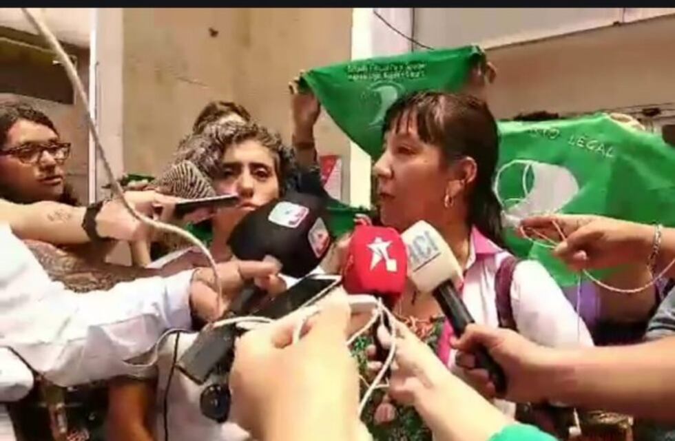 La Red de Profesionales de la Salud declaró que se "vulneran los derechos" de la niña