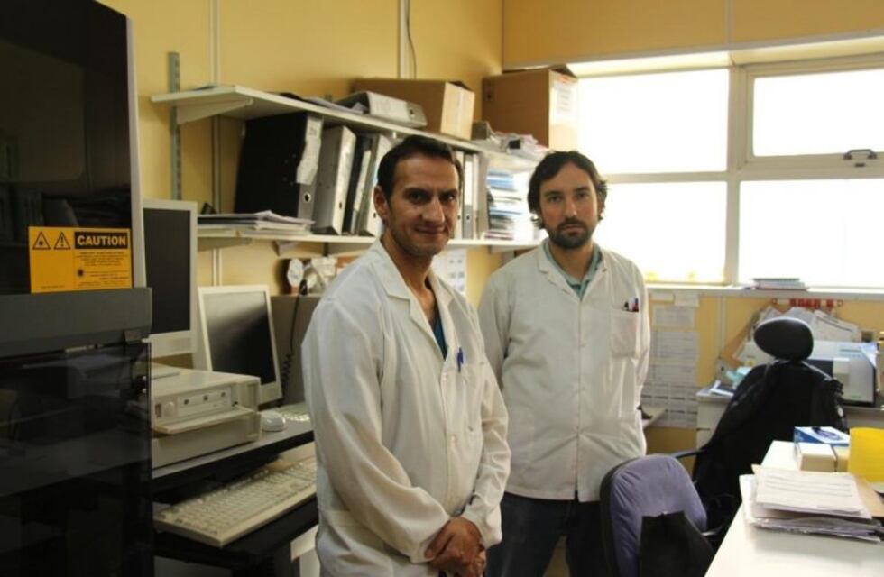 El Laboratorio de Salud Pública participará del estudio "Secuencia Genética Covid-19" en Tierra del Fuego