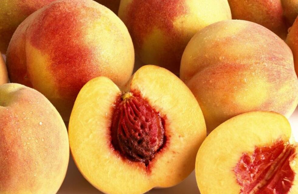 Empresa mendocina genera energía con carozos de durazno y damasco