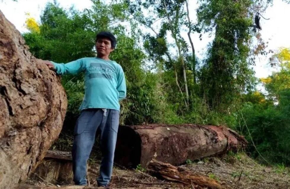 Comunidades guaraníes recurrieron a la justicia para frenar el desmonte en Campo Grande