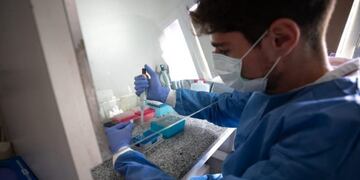 Covid-19\u002E (Imagen ilustrativa / Ministerio de Salud Provincial)\u002E