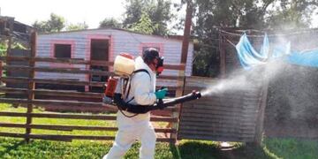 Misiones sigue con los operativos para erradicar el mosquito transmisor\u002E