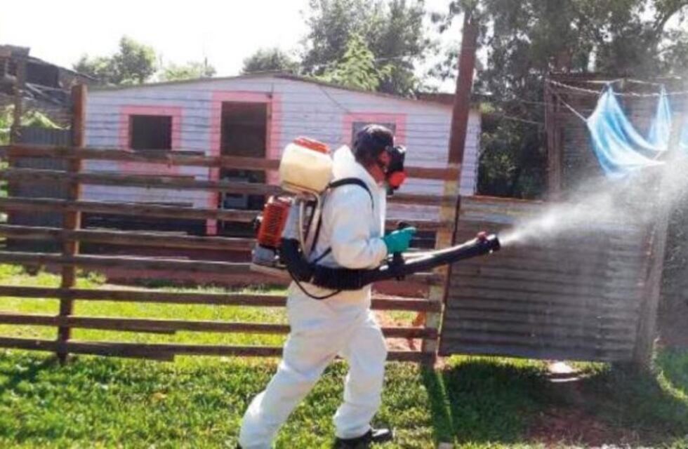 Iguazú registra dos casos de dengue del serotipo 2