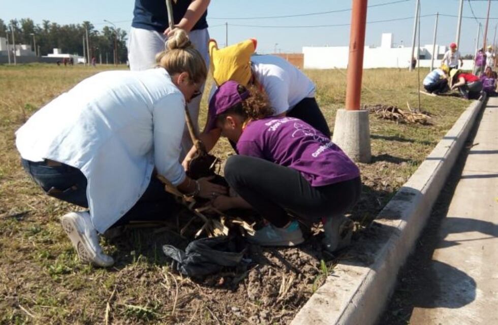 Se realizó una plantación de árboles en Barrio Don Pablo