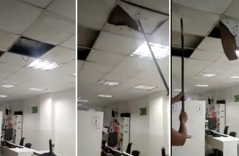 Video: denuncian graves problemas edilicios en el Registro de las Personas