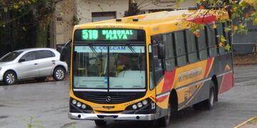 Transporte Publico Necochea