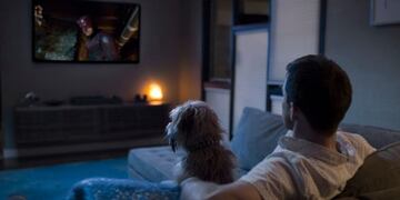 Mirar series con las mascotas, una tendencia que crece en Argentina\u002E Foto: Netflix\u002E