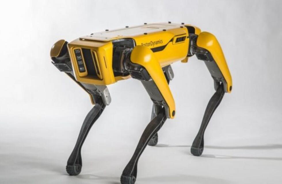 Un perro robot es furor en YouTube por su particular habilidad