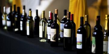 Nuevamente en Chilecito se elegirá al mejor Torrontés Riojano de Argentina