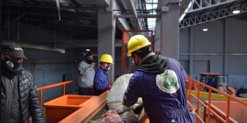 Planta de reciclaje procesa más de 40 toneladas de residuos por día