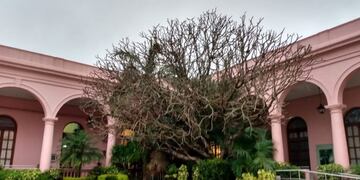 Tiempo nublado para hoy viernes