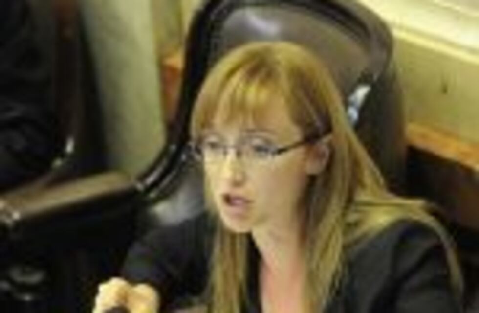 Sagasti cruzó a Pichetto por su posición en Ganancias