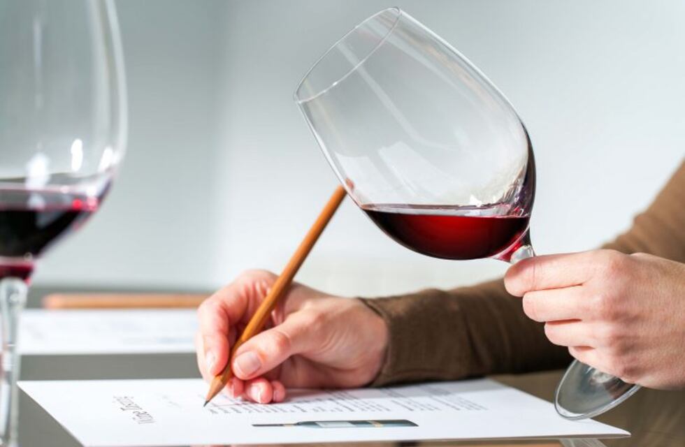 Sommeliers: una invitación a probar y arriesgar