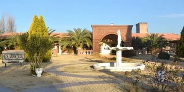 Instituto Renacer, Palmira mendoza