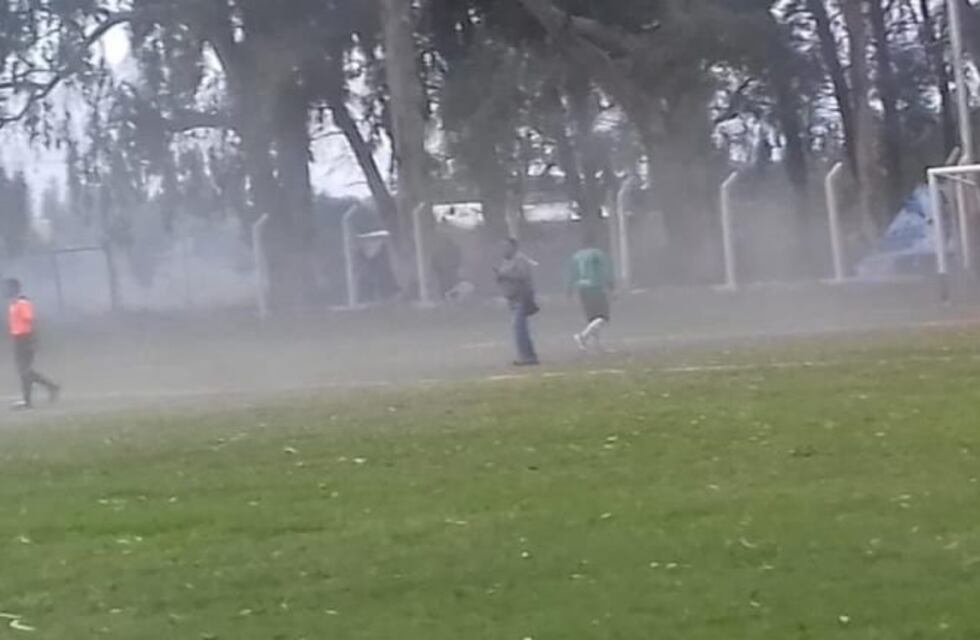 En Villa Unión tuvieron que suspender un partido por "abejas"