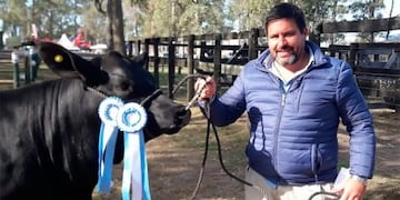 Vaca campeona valuada en $500\u002E000 que estaba a punto de parir fue faenada por cuatreros\u002E (Web)\u002E