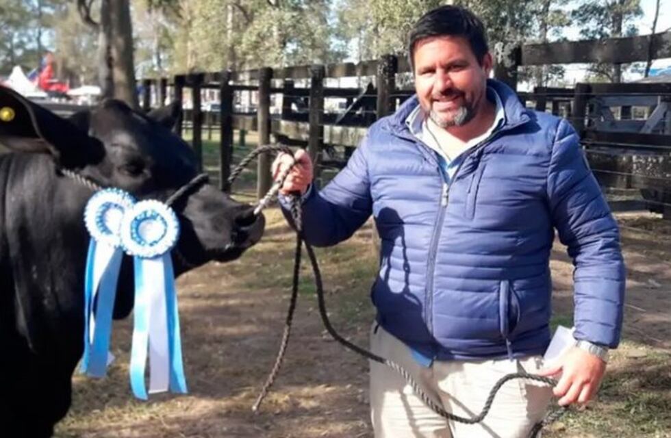 Vaca campeona valuada en $500.000 que estaba a punto de parir fue faenada por cuatreros