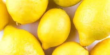Limón de exportación\u002E