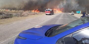 El campo que se quemó es propiedad de la aceitera General Deheza\u002E
