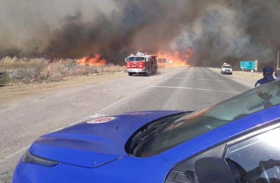 Se incendiaron 20 silobolsas con soja en un campo de la aceitera General Deheza