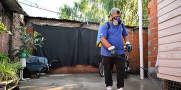 Intensifican la fumigación en barrios rosarinos contra el dengue (Municipalidad de Rosario)