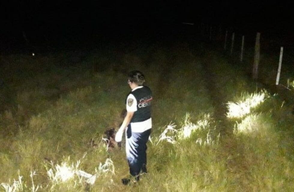 Cuatreros mataron a un productor que los sorprendió en plena faena