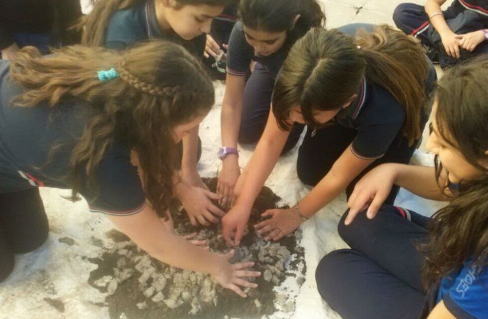 Alumnos de un colegio de Unquillo esparcirán bombas de semillas de árboles autóctonos