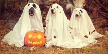 Halloween: cómo una fiesta agrícola se convirtió en una celebración global