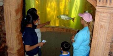 El Aquarium de Montecarlo llevaba 14 años de trabajo\u002E