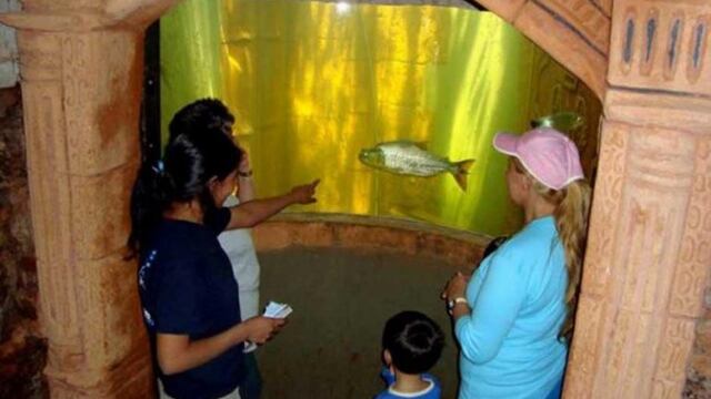 El Aquarium de Montecarlo llevaba 14 años de trabajo\u002E