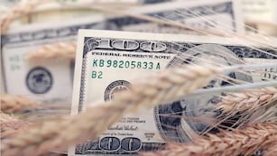 El Gobierno busca fortalecer las reservas del Banco Central con un nuevo dólar agro.